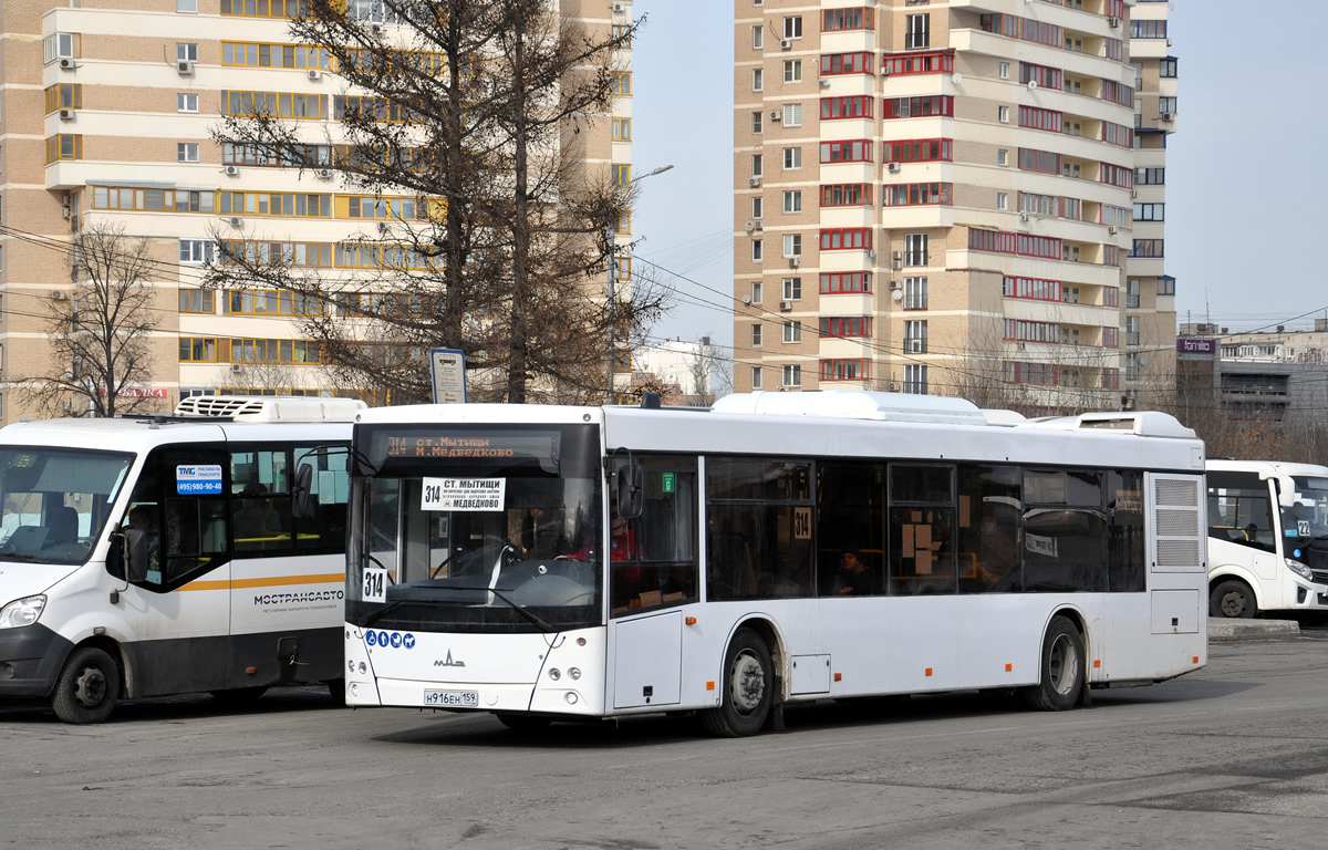 Московская область, МАЗ-203.016 № Н 916 ЕН 159