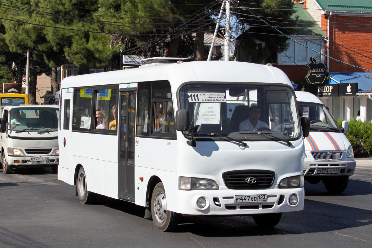 Краснодарский край, Hyundai County LWB C09 (ТагАЗ) № М 447 ХВ 123