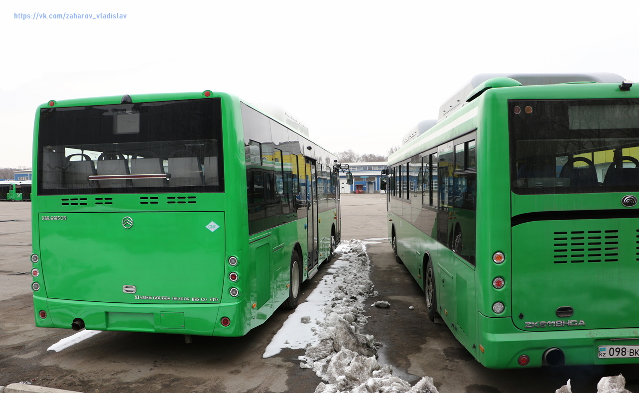 Almaty, Golden Dragon XML6105CN # б/н 33