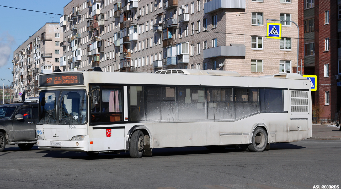 Санкт-Петербург, МАЗ-103.486 № 8366