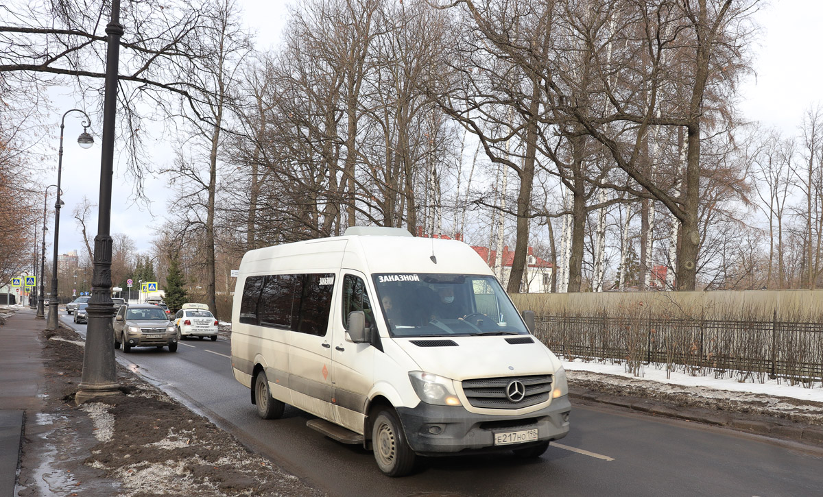 Санкт-Петербург, Луидор-223602 (MB Sprinter) № Е 217 НО 198