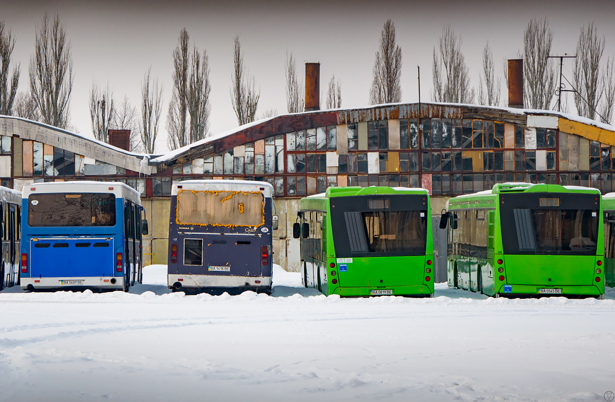 Кировоградская область, Скиф-5204-01 № BA 0689 BE; Кировоградская область, Скиф-5204 № BA 1418 BE; Кировоградская область, МАЗ-203.065 № BA 0819 BE; Кировоградская область, МАЗ-203.065 № BA 0565 BE