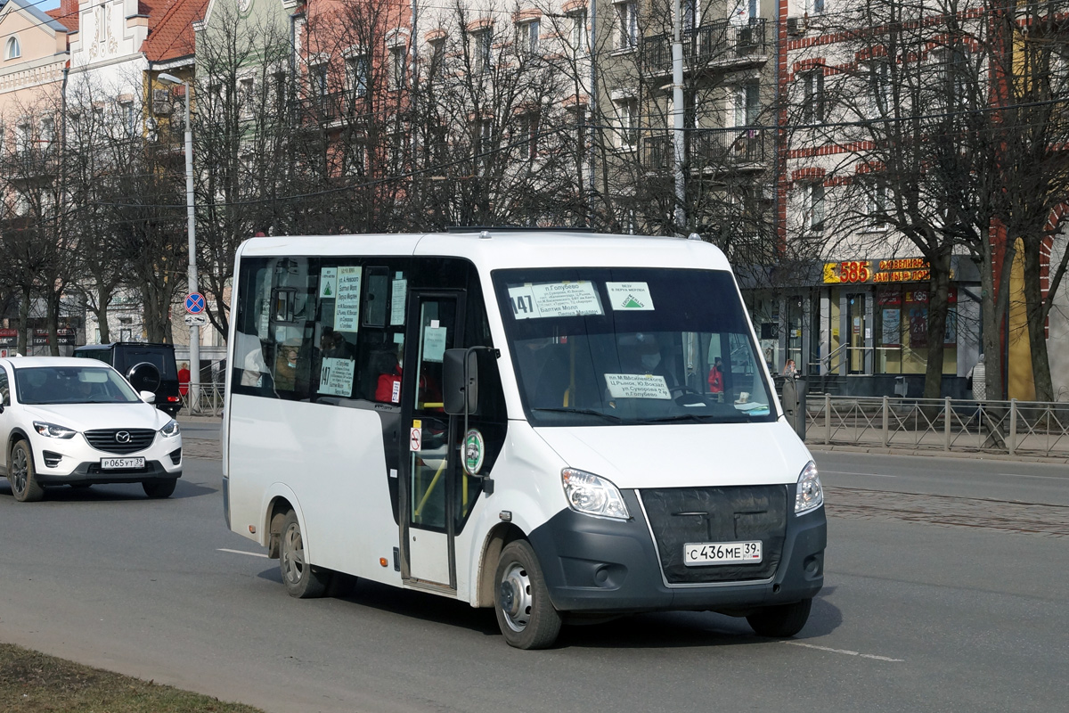 Калининградская область, Луидор-225019 (ГАЗ Next) № С 436 МЕ 39