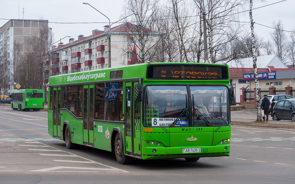 Витебская область, МАЗ-103.465 № 029939