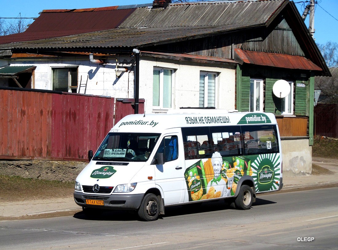 Минская область, Луидор-223237 (MB Sprinter Classic) № 5 ТАХ 6029 Минская область, Луидор-223237 (MB Sprinter Classic) № 5 ТАХ 6029