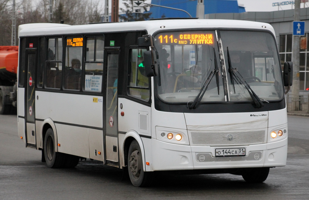 Белгородская область, ПАЗ-320412-05 "Вектор" № О 144 СА 31