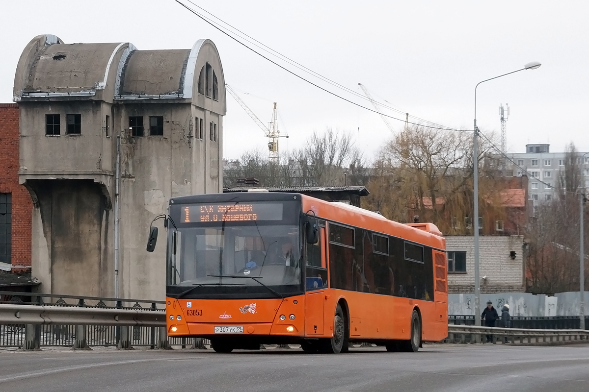 Калининградская область, МАЗ-203.085 № 63053