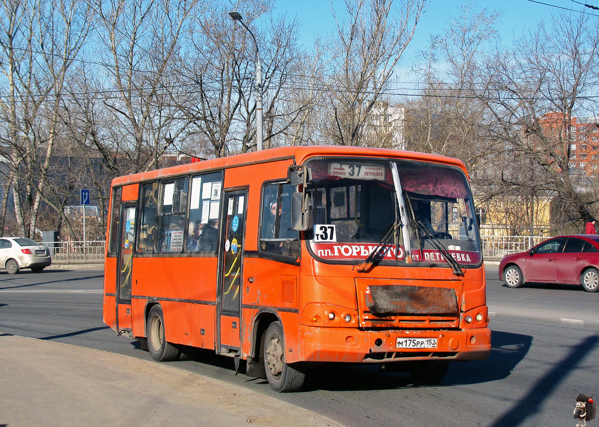 Нижегородская область, ПАЗ-320402-05 № М 175 РР 152