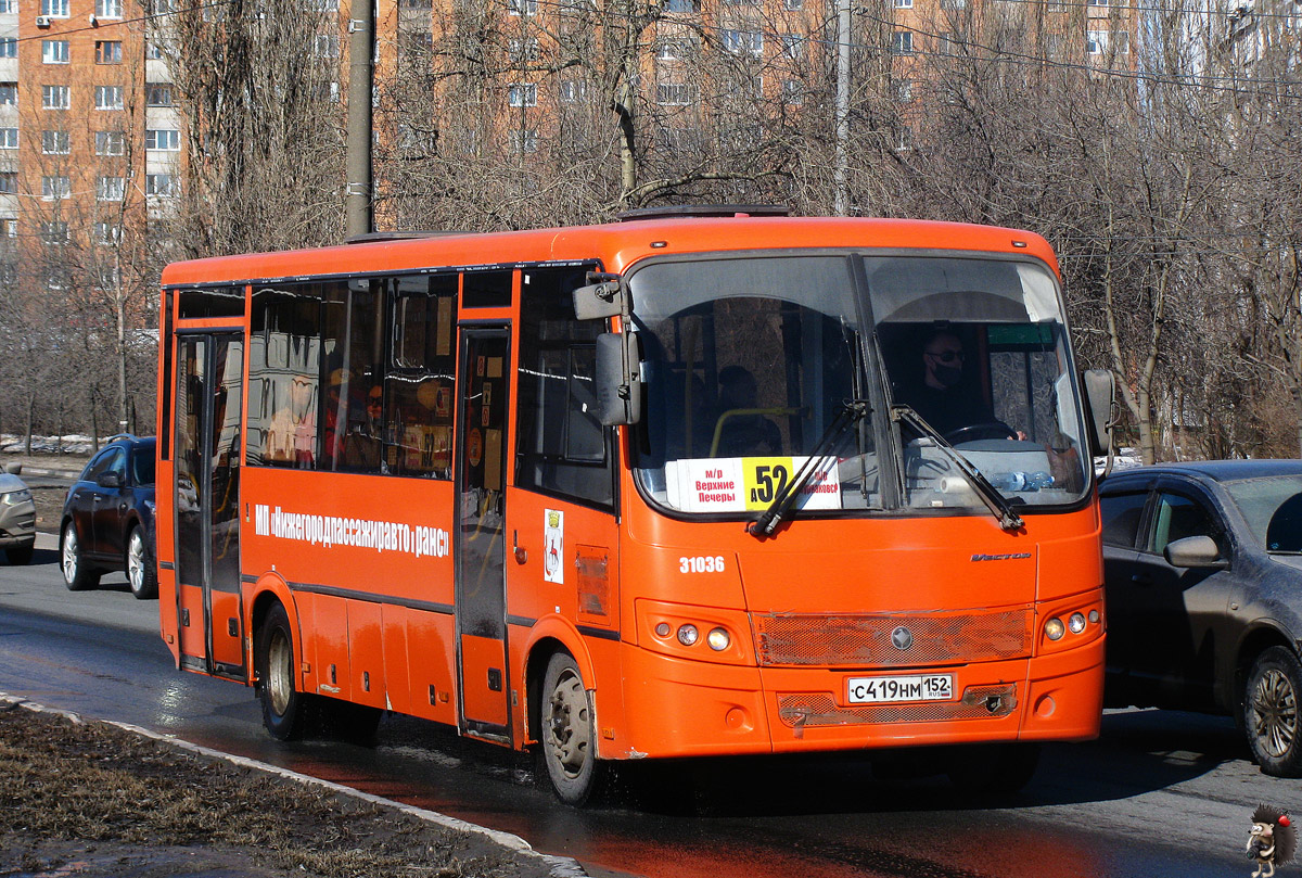 Нижегородская область, ПАЗ-320414-04 "Вектор" № 31036