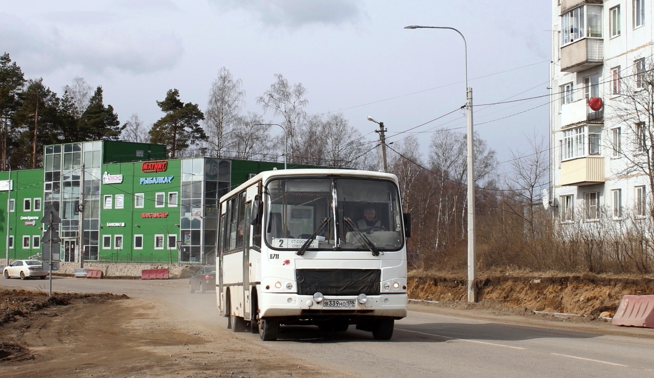 Ленинградская область, ПАЗ-320402-05 № 8711