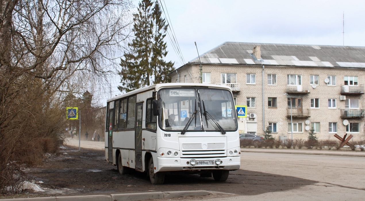 Ленинградская область, ПАЗ-320402-05 № 7910