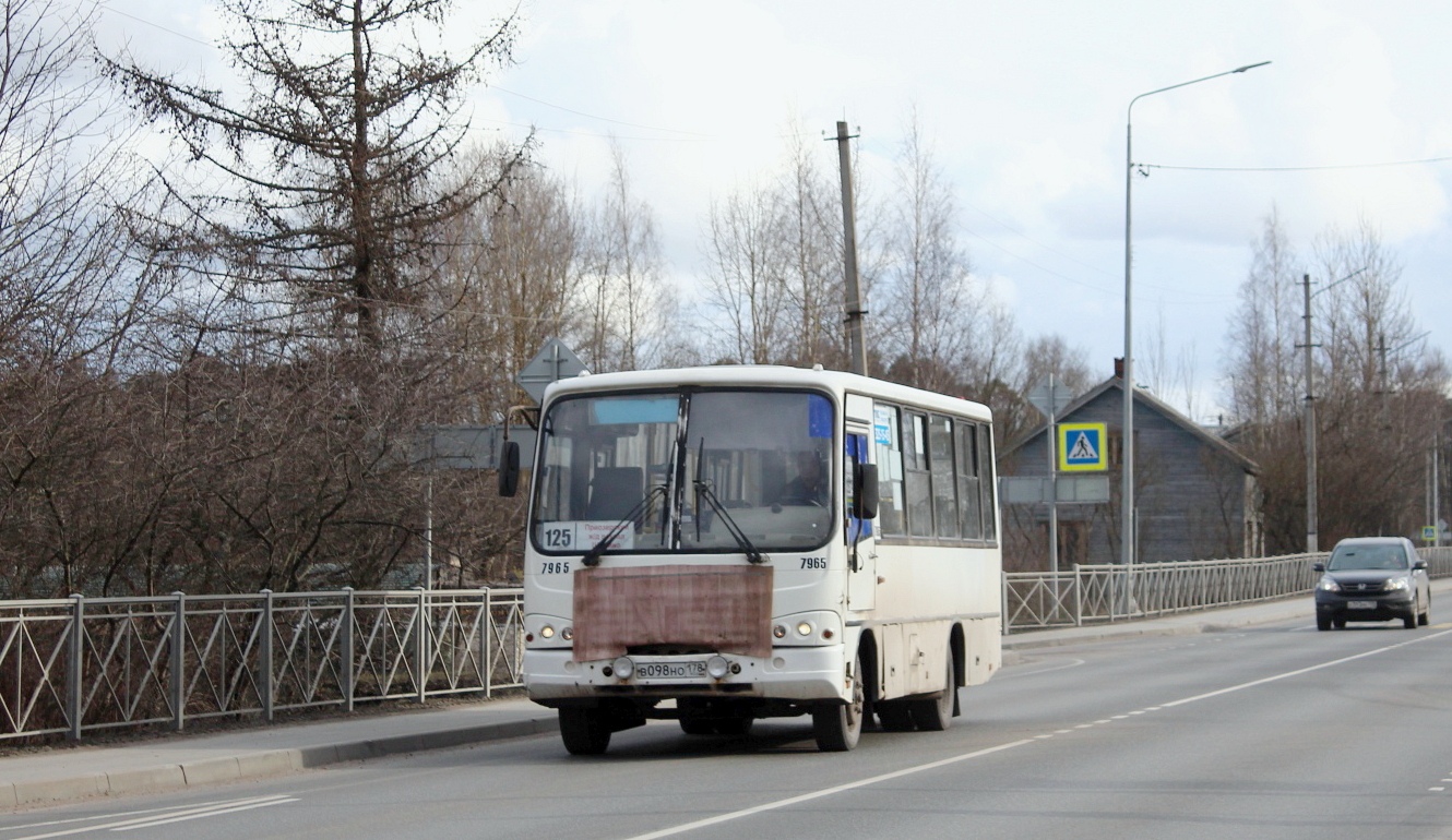 Ленинградская область, ПАЗ-320402-05 № 7965