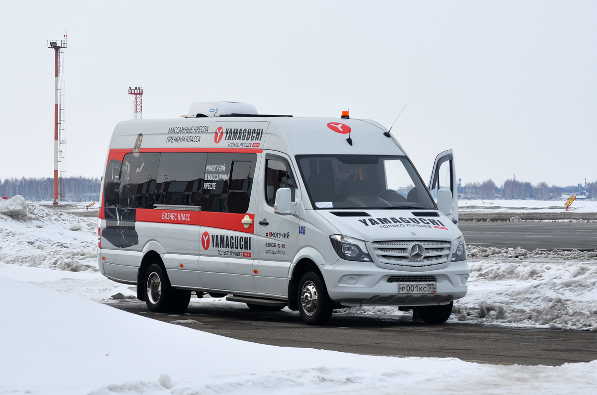 Омская область, Луидор-22360C (MB Sprinter) № 145