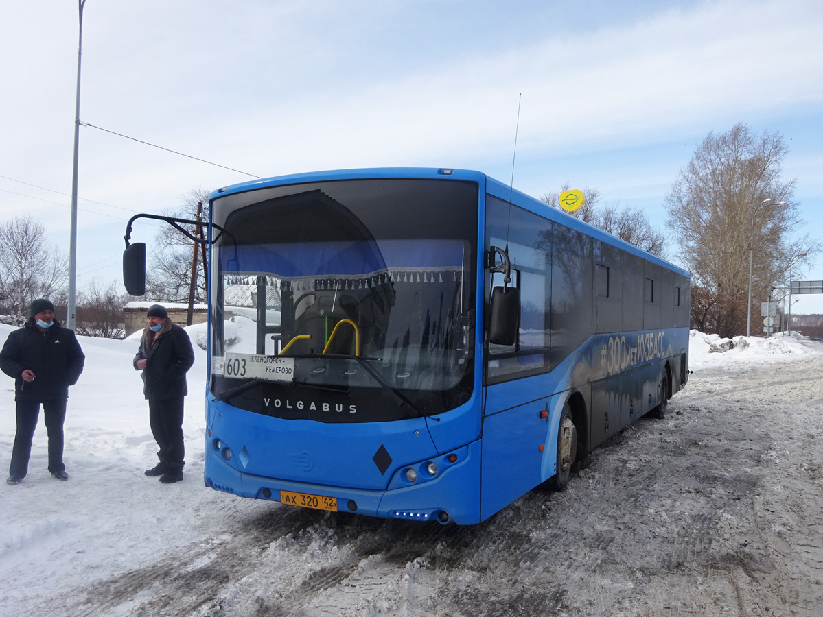 Кемеровская область - Кузбасс, Volgabus-5285.02 № 29