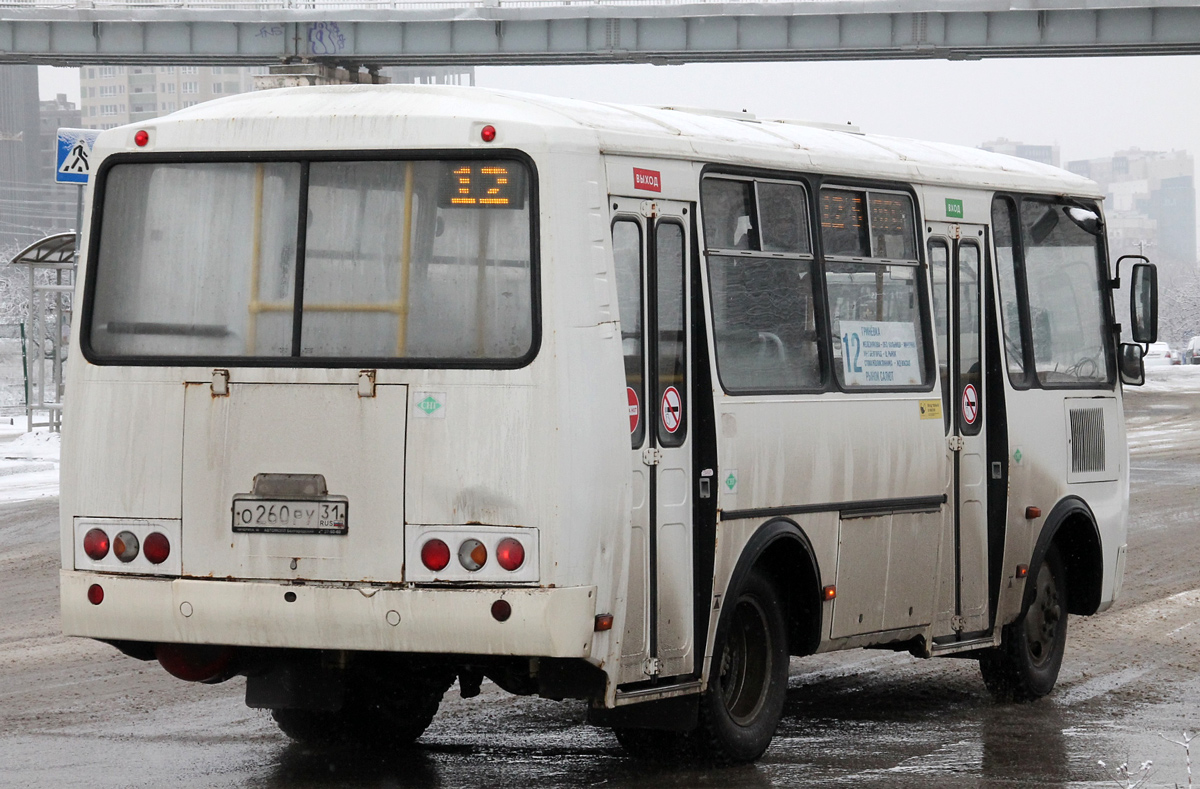 Белгородская область, ПАЗ-320540-22 № О 260 РУ 31