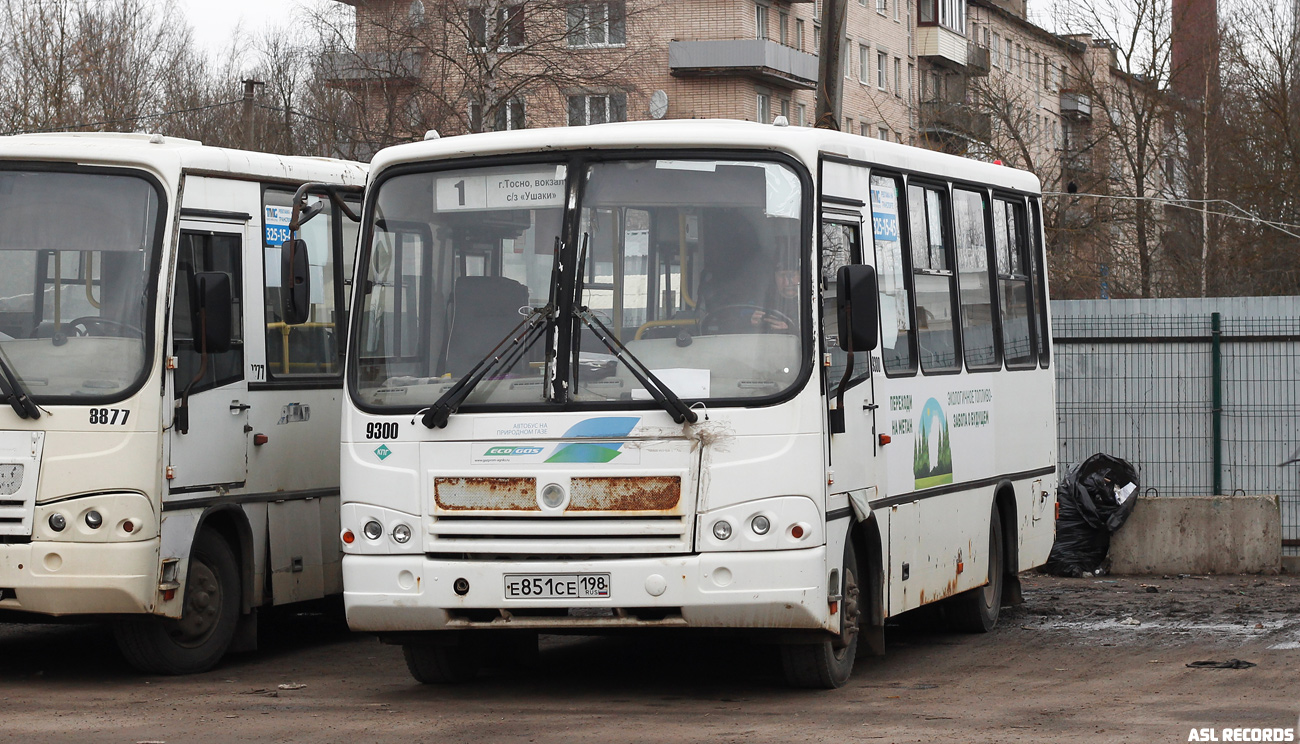 Ленинградская область, ПАЗ-320302-08 № 9300