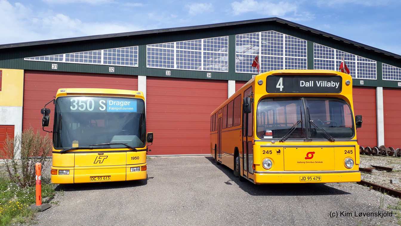 Дания, DAB Citybus 15-1200C № 1950; Дания, Aabenraa M70/M78/M79 № 245