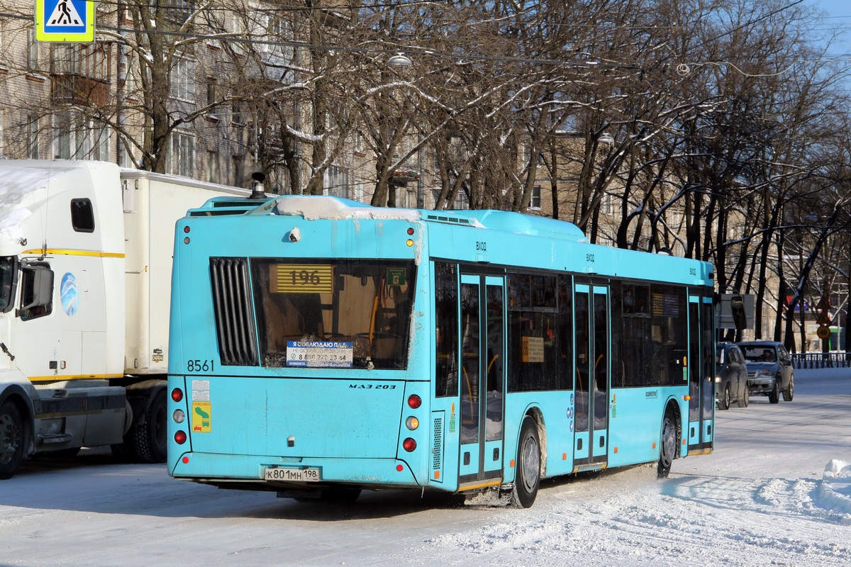 Санкт-Петербург, МАЗ-203.016 № 8561