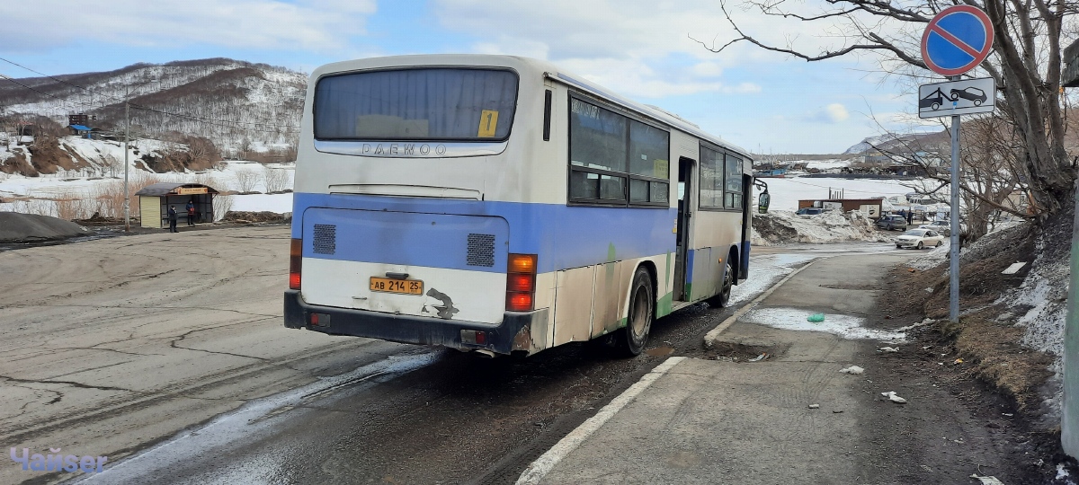 Камчатский край, Daewoo BS106 Royal City (Busan) № 3147