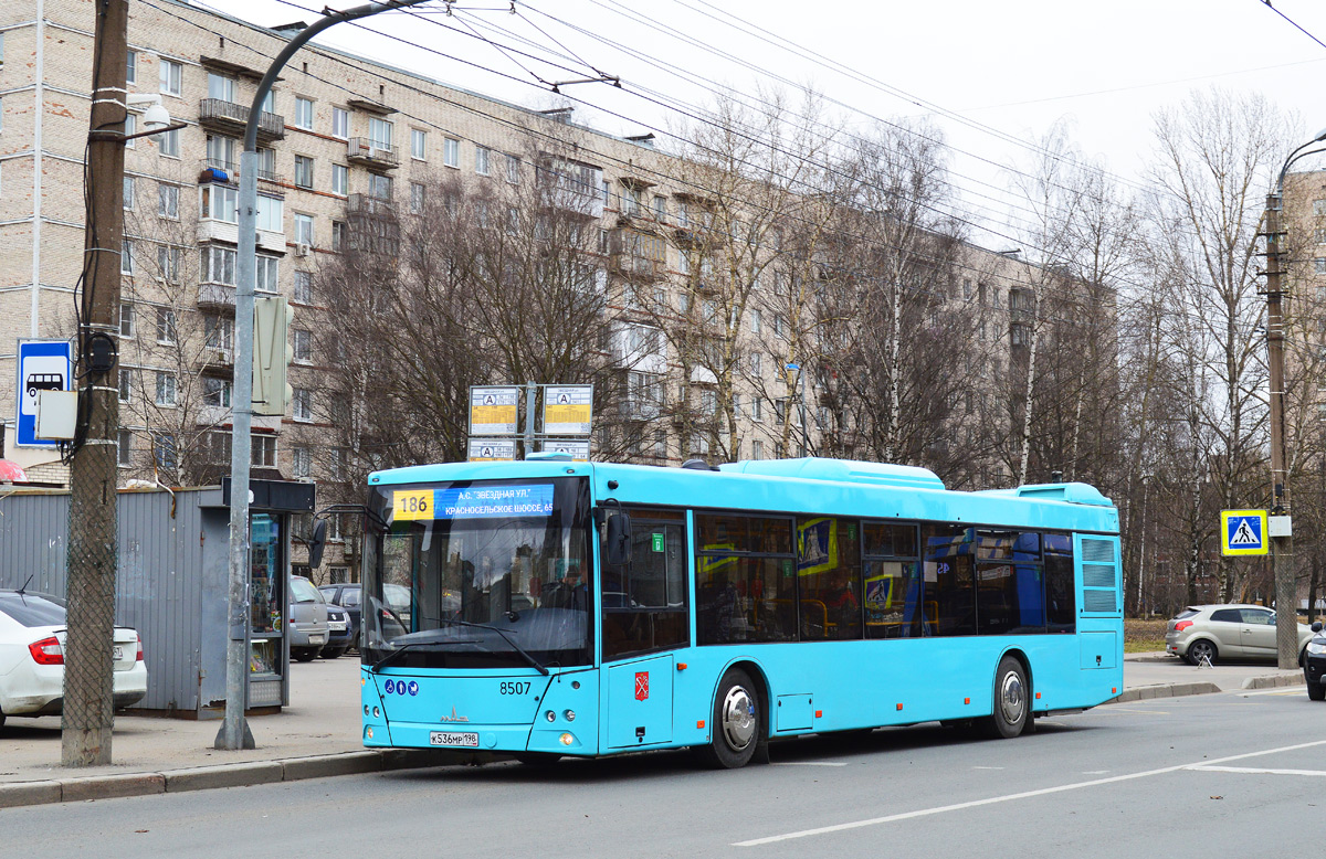 Санкт-Петербург, МАЗ-203.016 № 8507