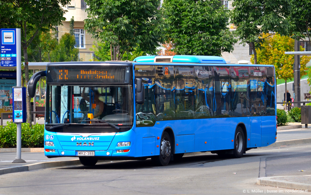 Венгрия, MAN A21 Lion's City NL283 № MRZ-388