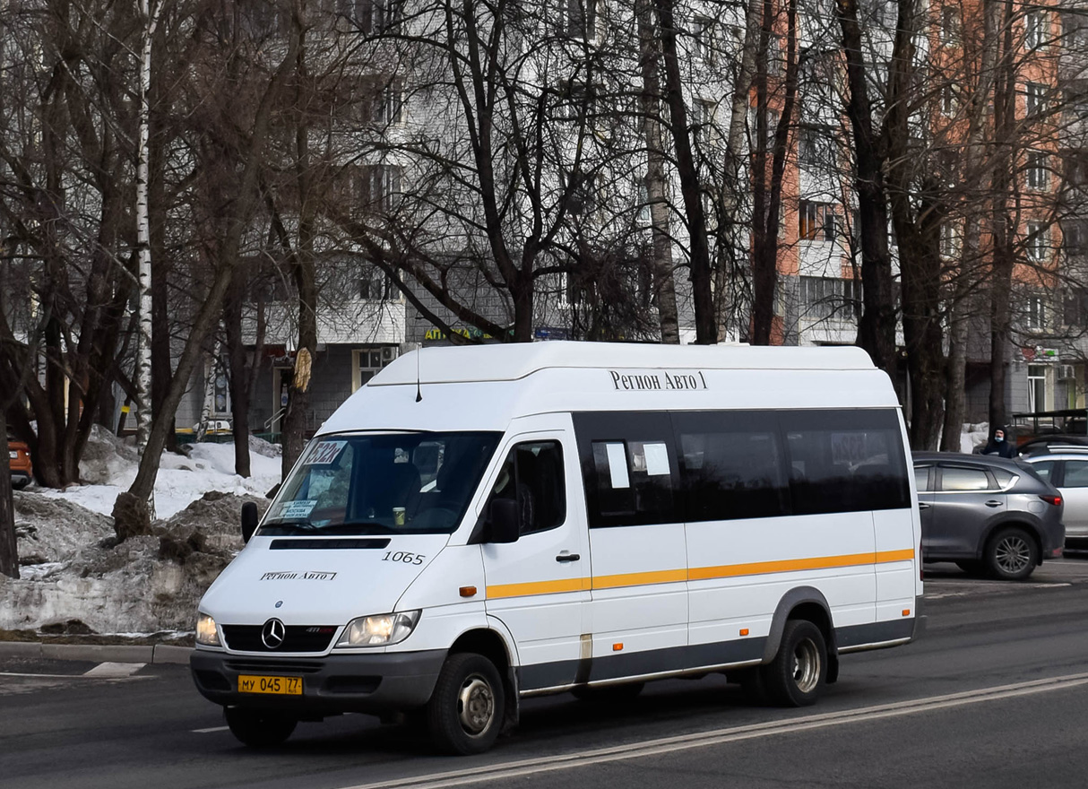 Московская область, Луидор-223229 (MB Sprinter Classic) № 1065