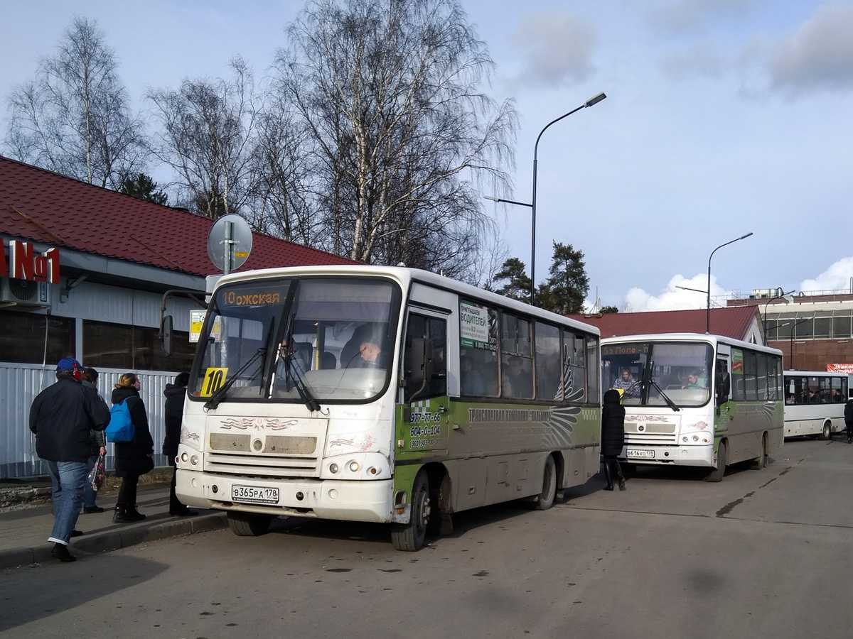 Санкт-Петербург, ПАЗ-320402-05 № В 365 РА 178