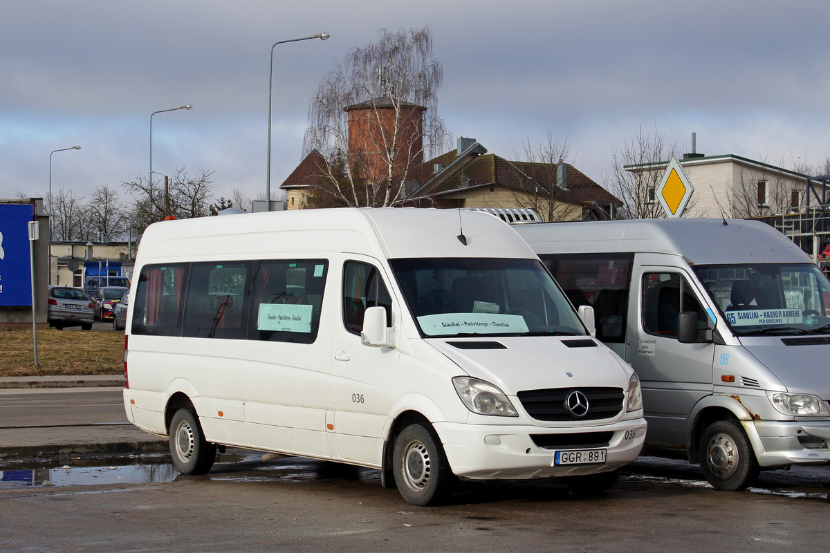 Литва, Mercedes-Benz Sprinter W906 315CDI № 036