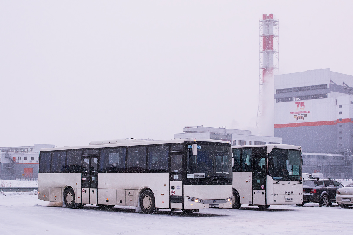 Калининградская область, TEMSA Tourmalin IC № С 009 КН 39