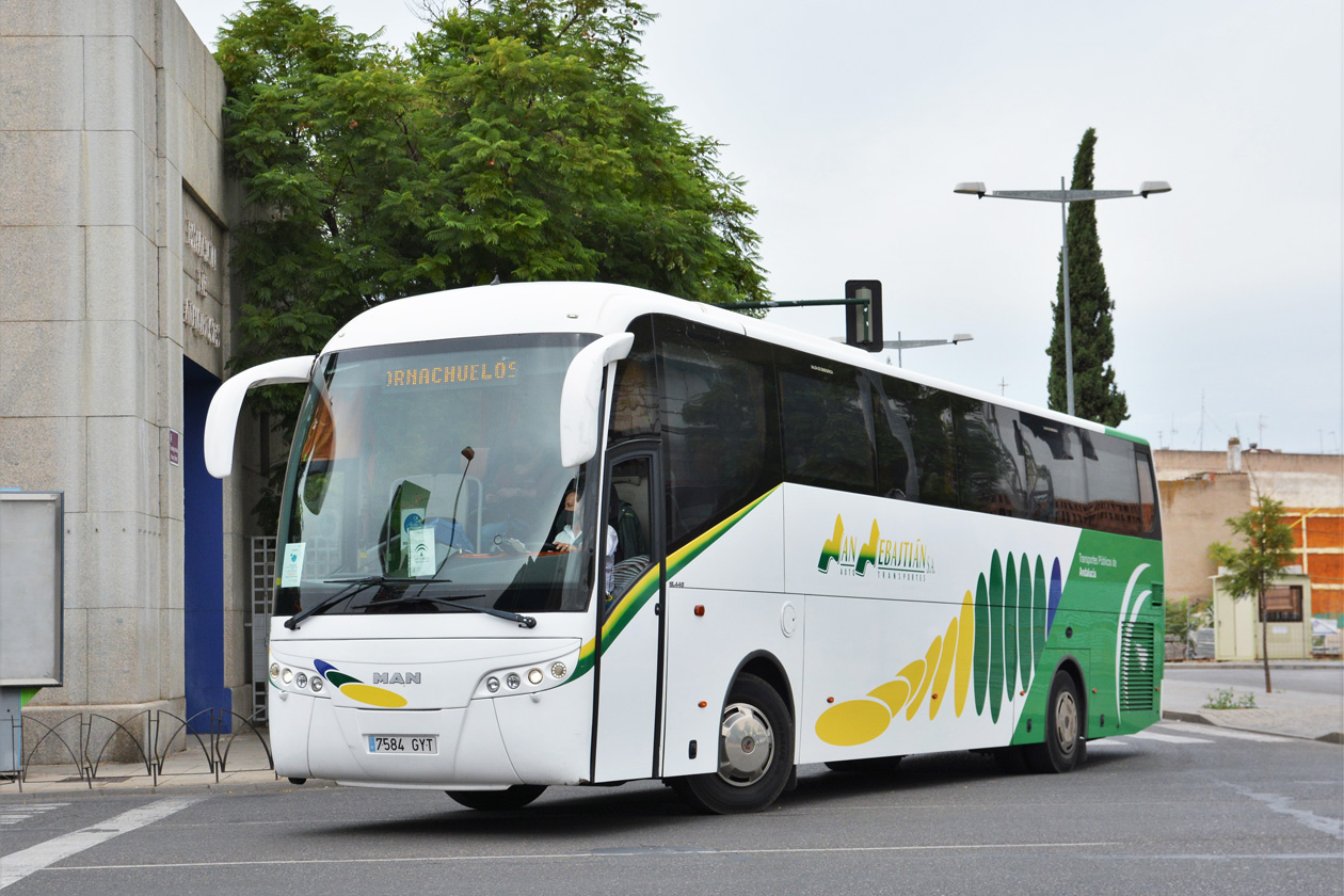 Испания, Farebus Califa № 64