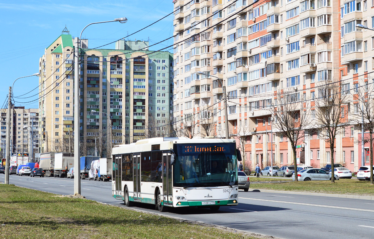 Санкт-Петербург, МАЗ-203.085 № 8242