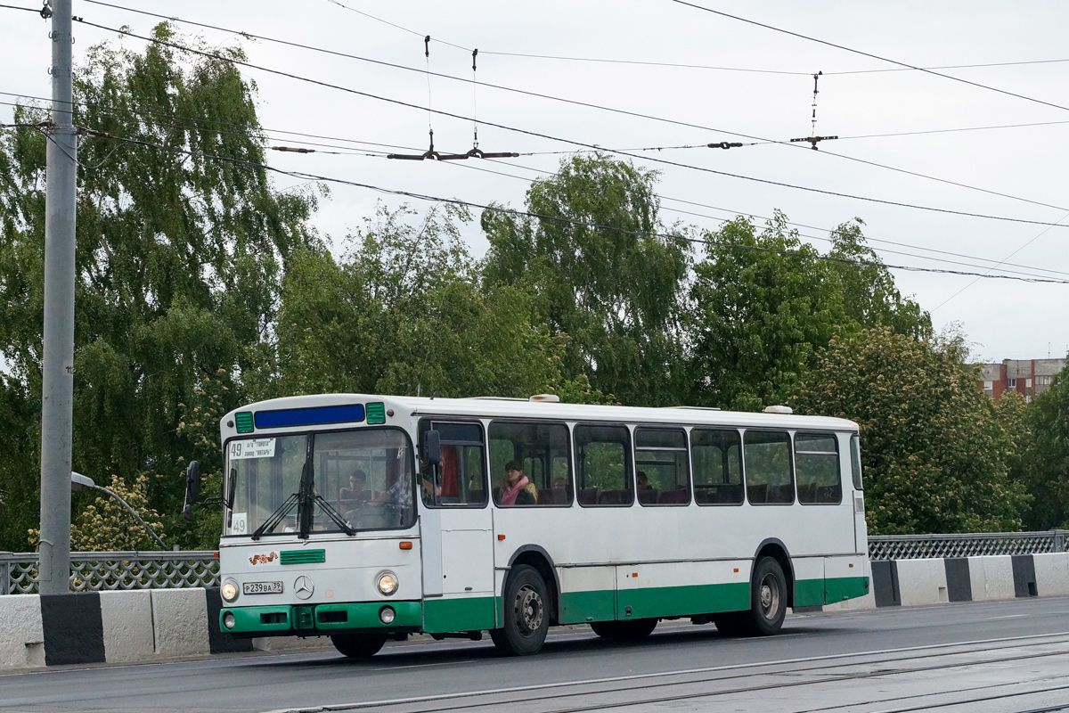 Kaliningrad region, Mercedes-Benz O307 Nr. Р 239 ВА 39