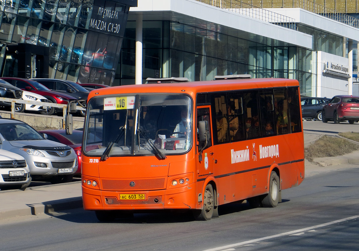 Нижегородская область, ПАЗ-320414-05 "Вектор" (1-2) № 73215