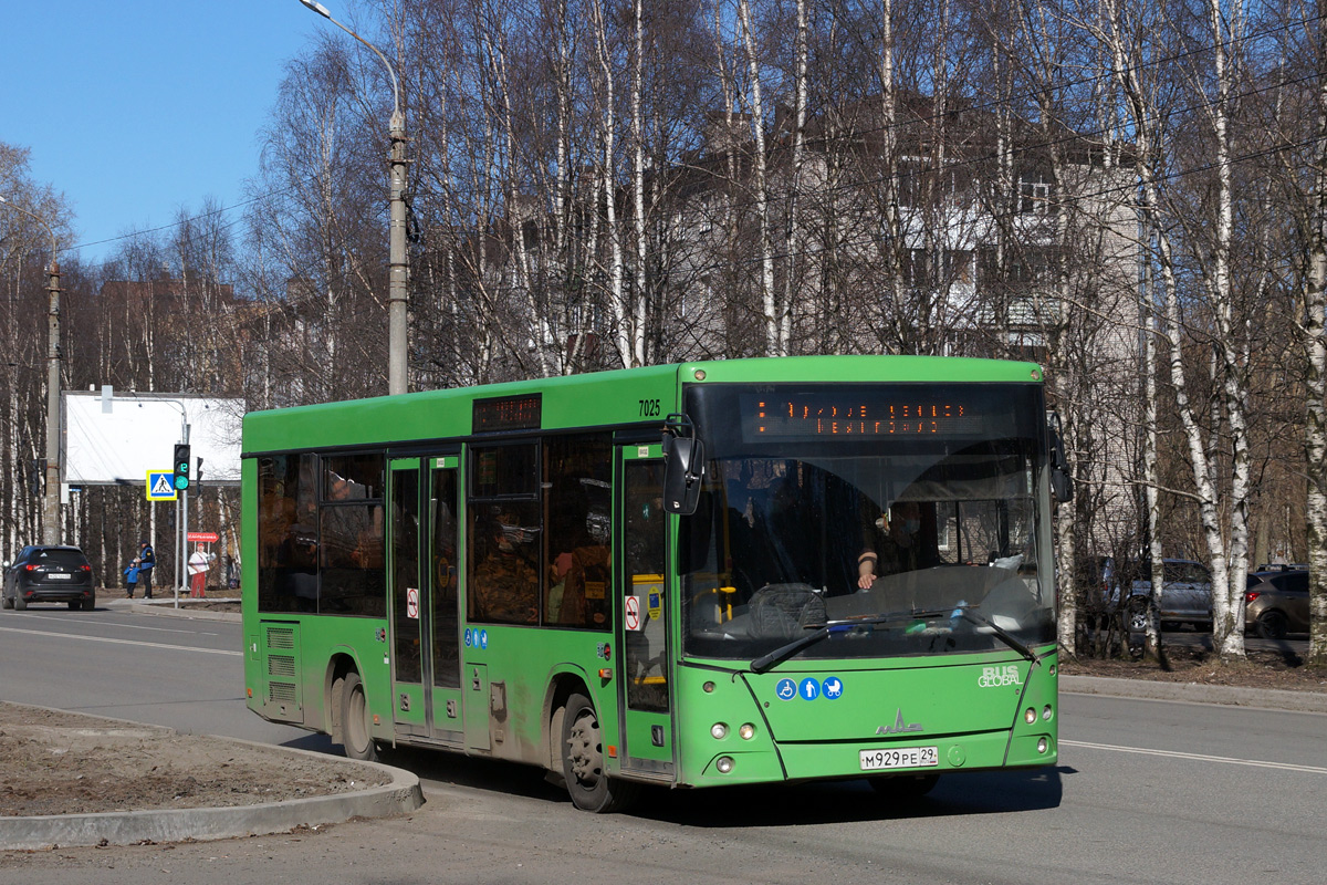 Архангельская область, МАЗ-206.086 № 7025