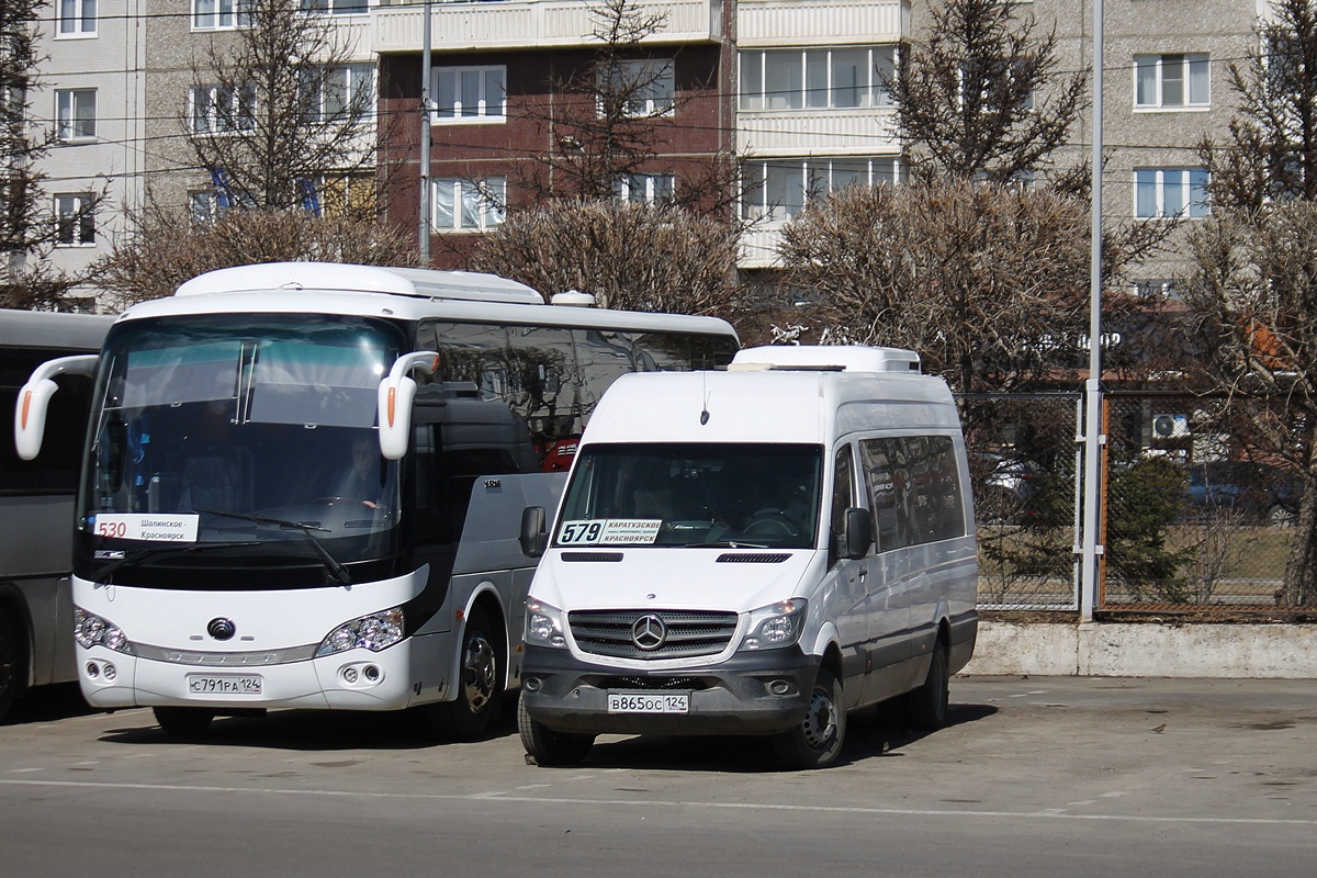 Красноярский край, Луидор-223602 (MB Sprinter) № В 865 ОС 124