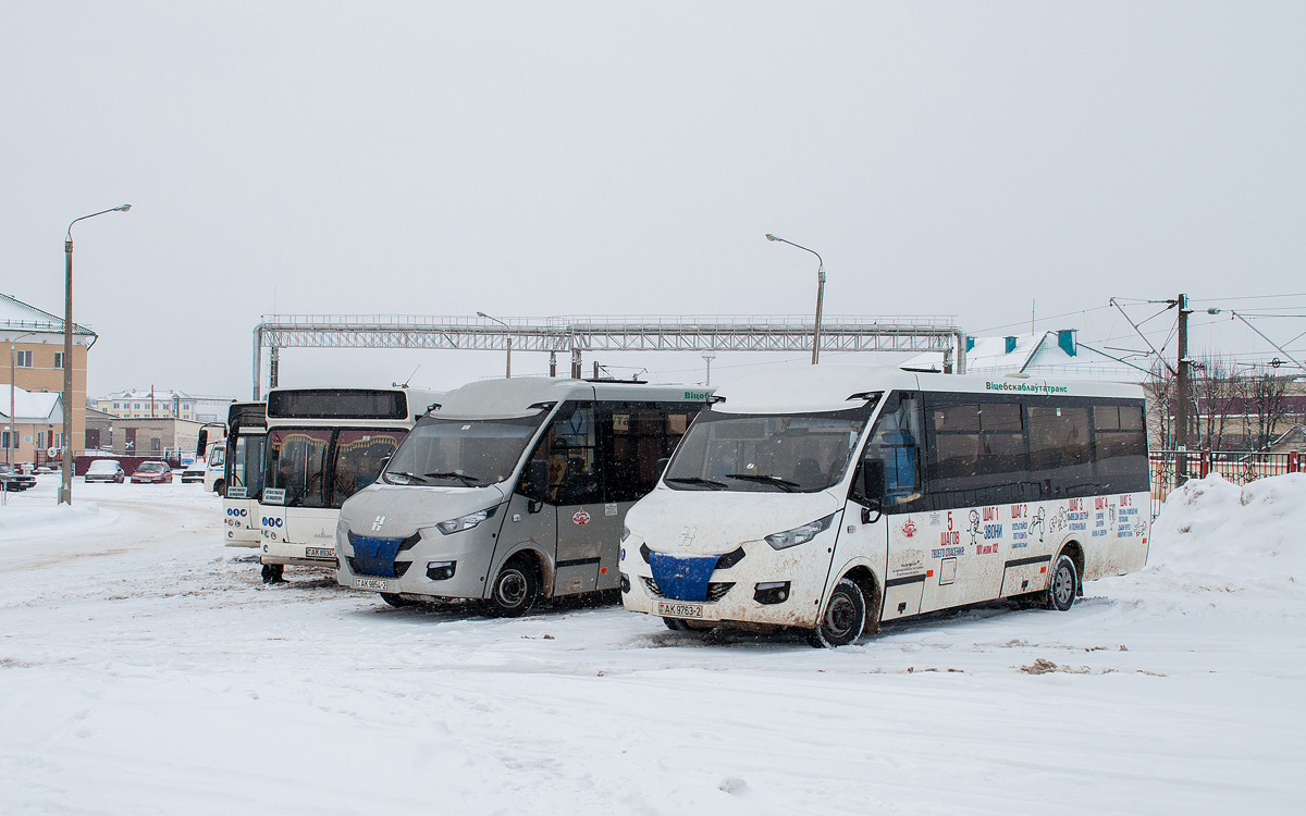 Витебская область, Неман-420211-511 № 10345