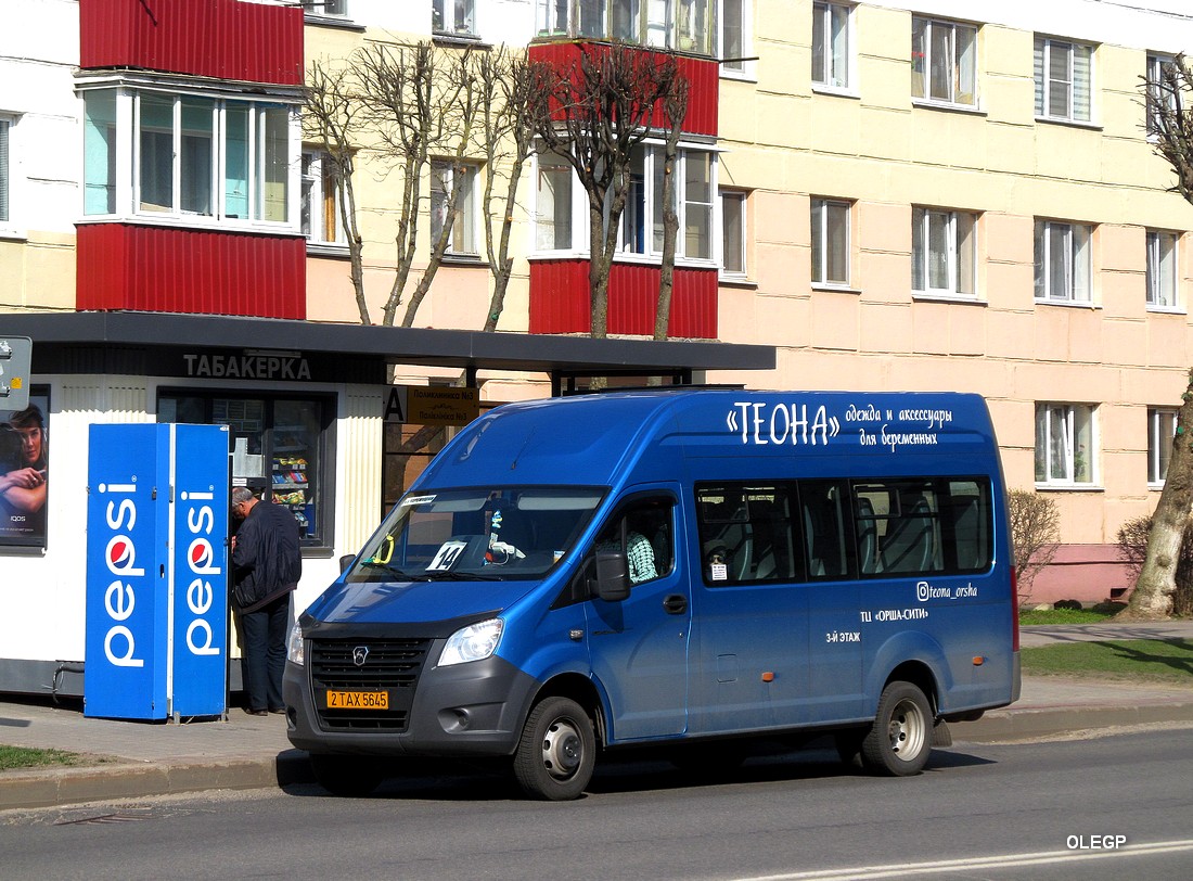 Витебская область, ГАЗ-A62/A65/A66/A69 Next № 2 ТАХ 5645