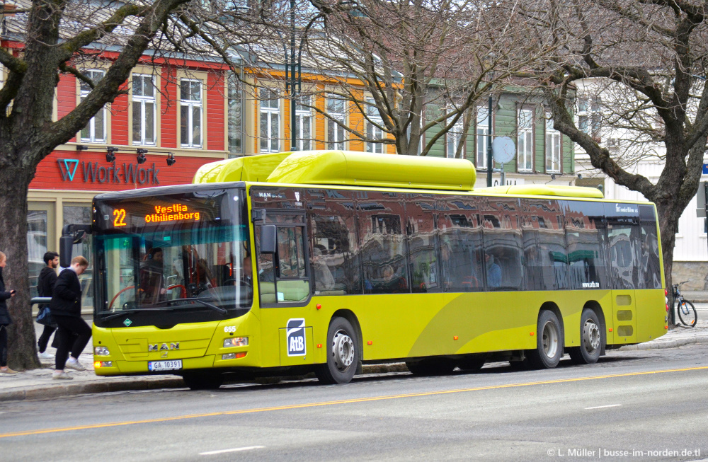 Норвегия, MAN A26 Lion's City L LE NL313-15 CNG № 655