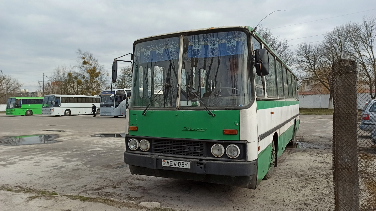 Брестская область, Ikarus 260.43 № АЕ 4879-1