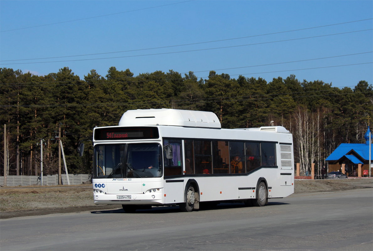 Новосибирская область, МАЗ-103.965 № 11013