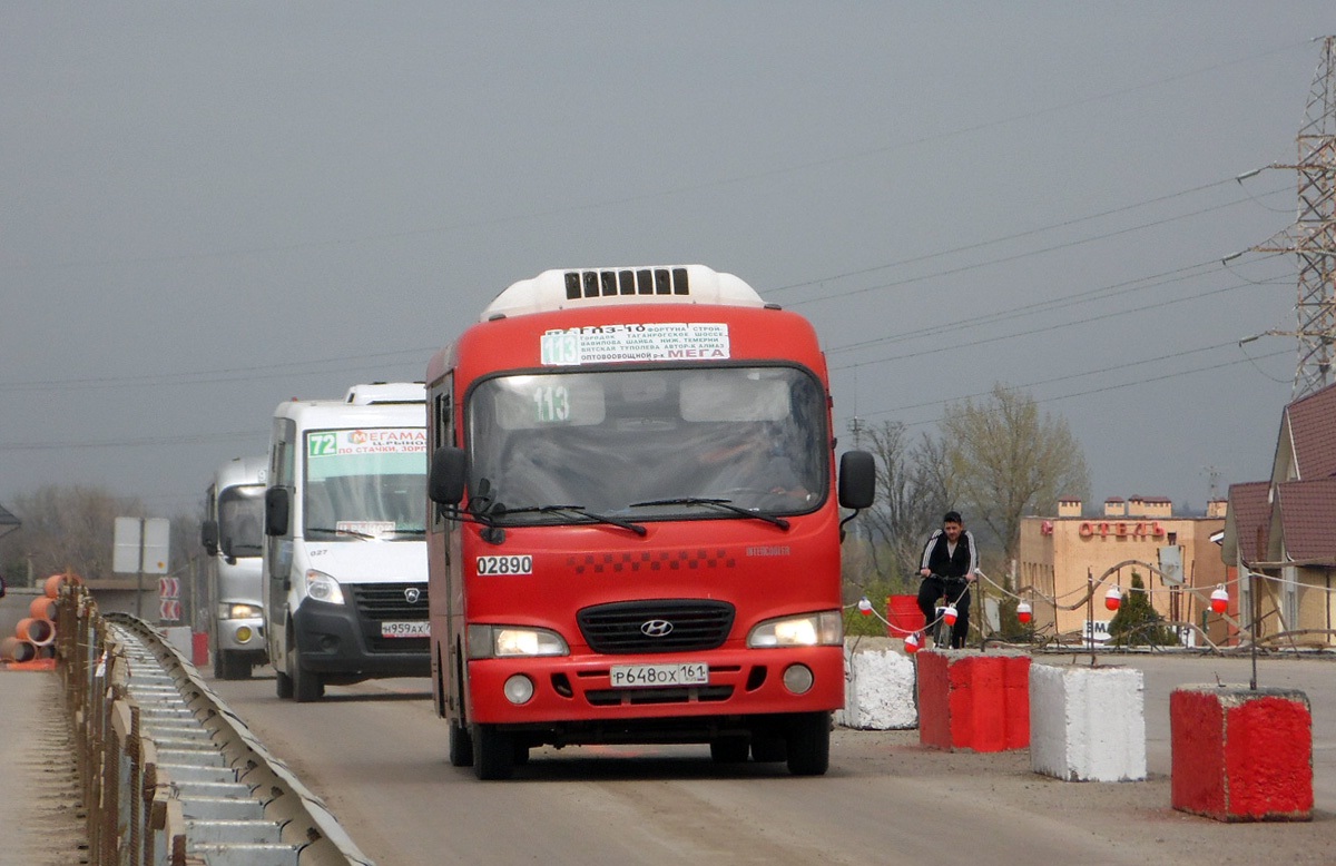 Ростовская область, Hyundai County SWB C08 (ТагАЗ) № 02890