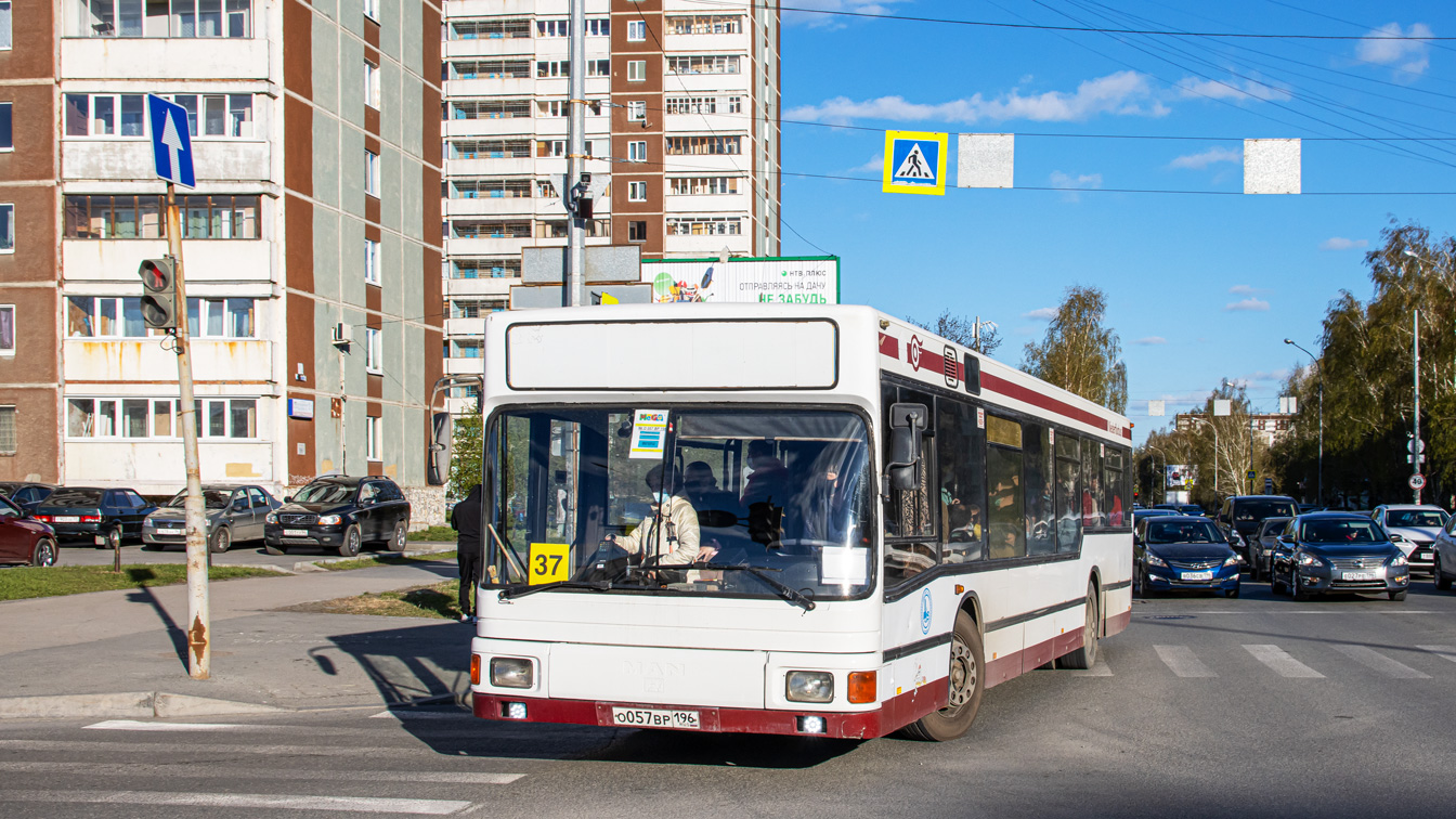 Свердловская область, MAN A10 NL202 № О 057 ВР 196