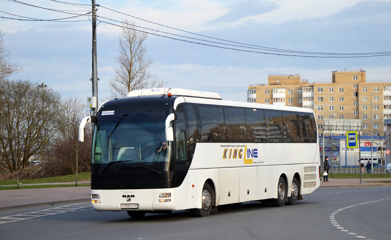 Ленинградская область, MAN R08 Lion's Top Coach RHC464 № О 733 ХТ 47