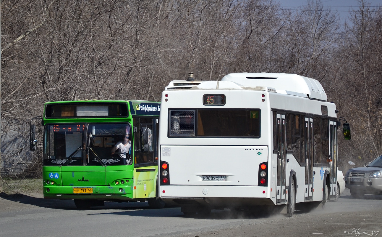 Новасібірская вобласць, МАЗ-103.965 № 11003