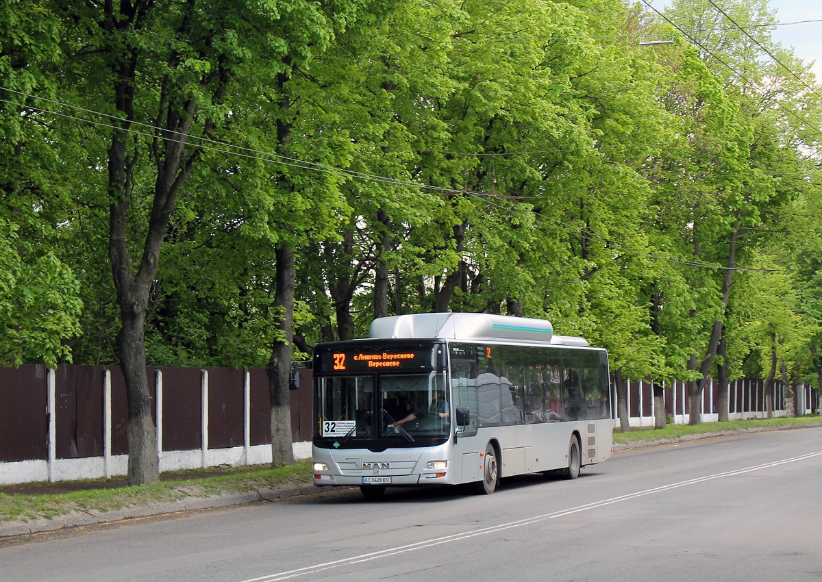 Волынская область, MAN A21 Lion's City NL313 CNG № 08