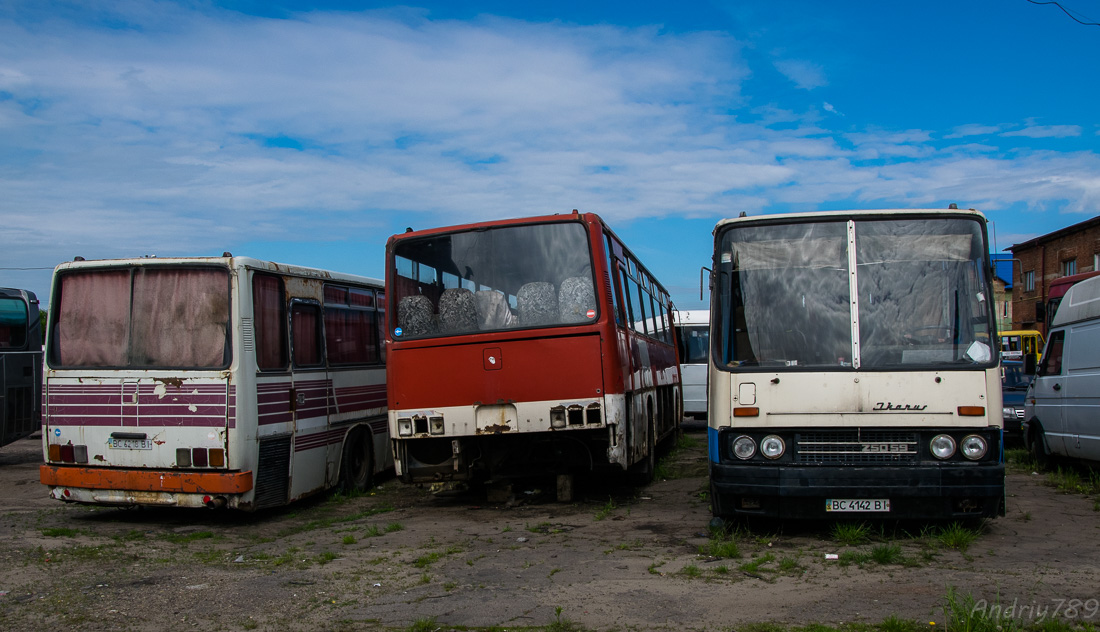 Львовская область, Ikarus 256 № BC 6218 BI; Львовская область, Ikarus 256 № BC 6049 CH; Львовская область, Ikarus 250.59 № BC 4142 BI