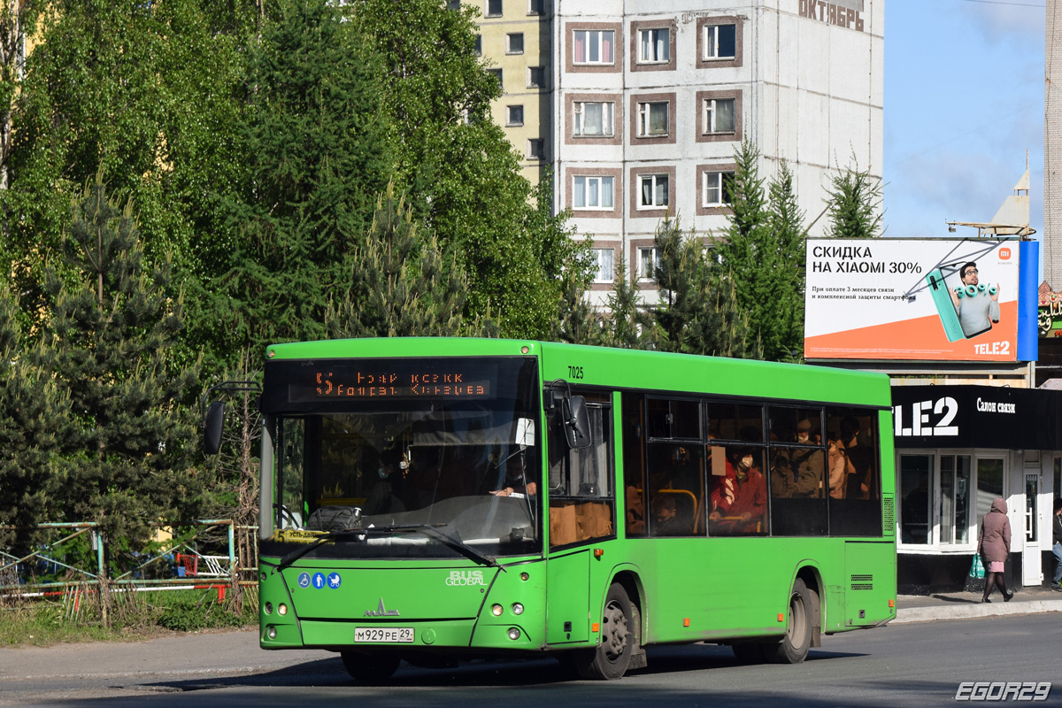 Архангельская область, МАЗ-206.086 № 7025