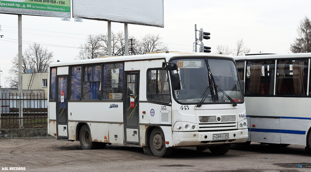 Псковская область, ПАЗ-320402-05 № 443