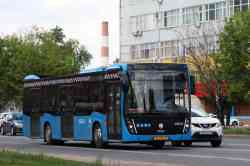 446 КБ