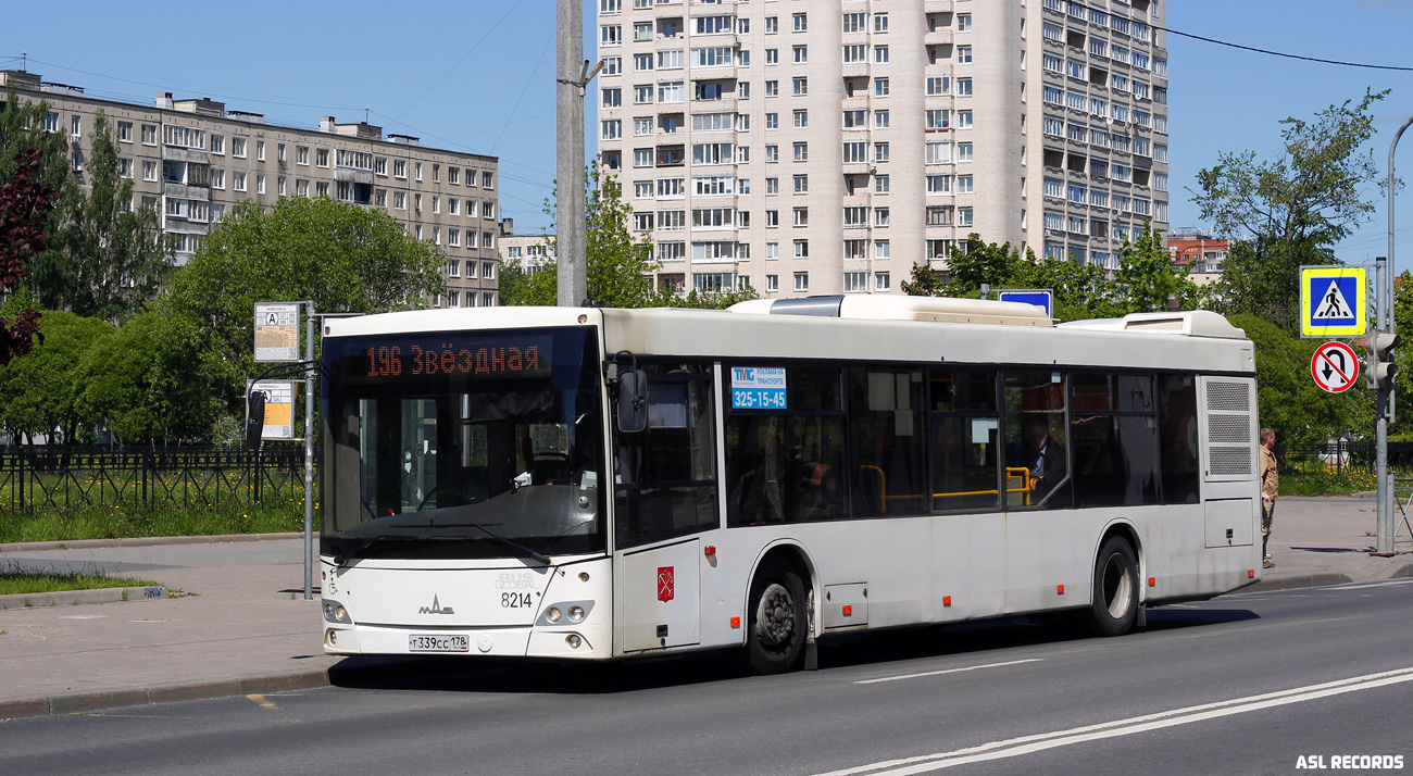 Санкт-Петербург, МАЗ-203.085 № 8214